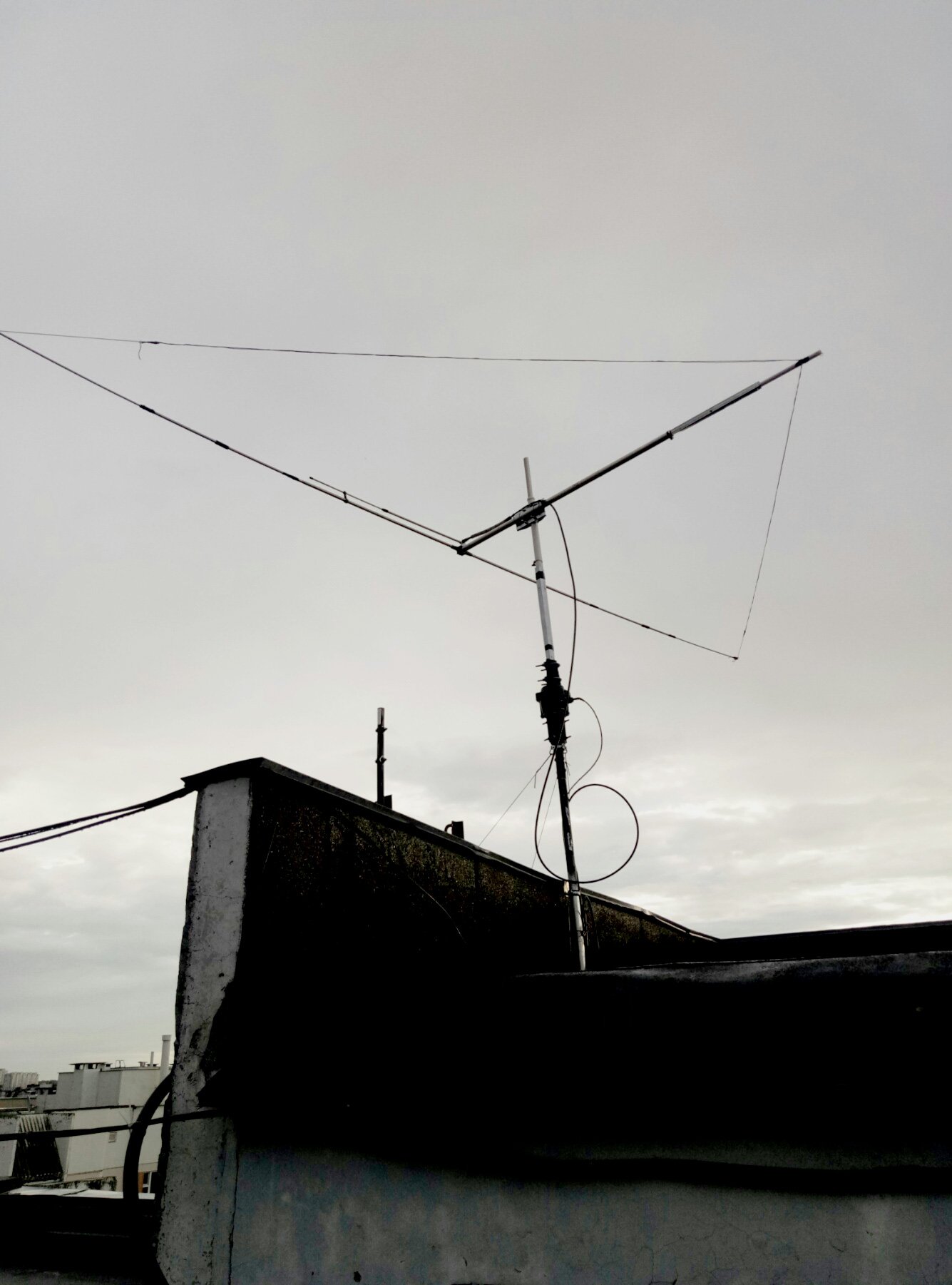 ew8ax - antenna jungle job 11