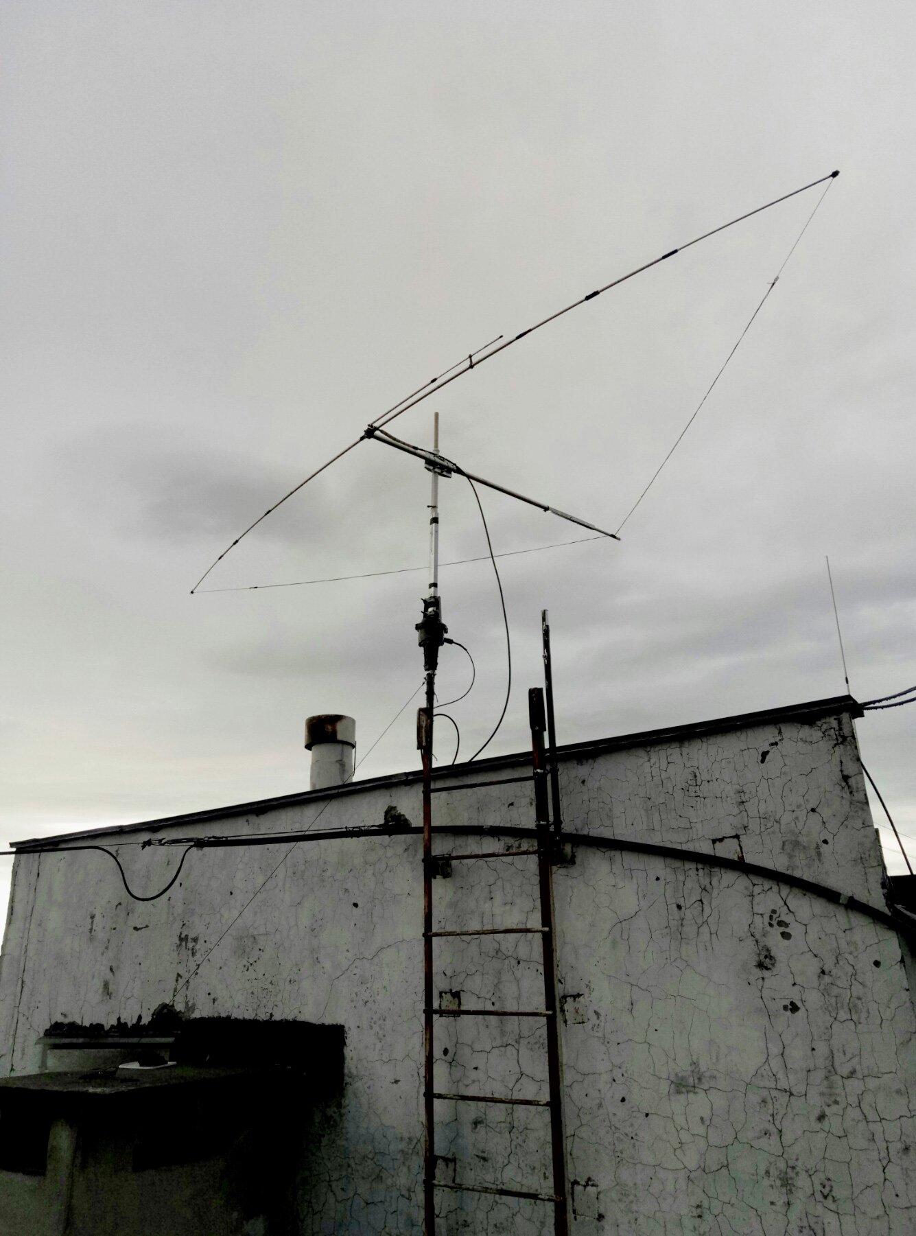 ew8ax - antenna jungle job